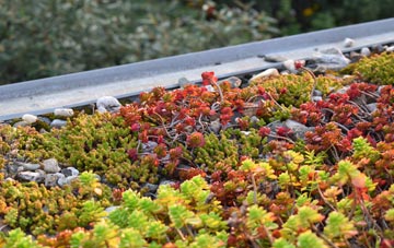 the cost of Bowlee green roof installation