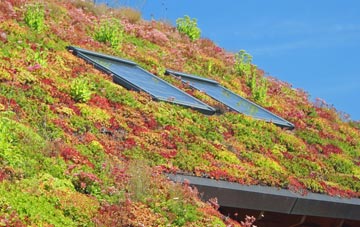 Bowlee living roof systems